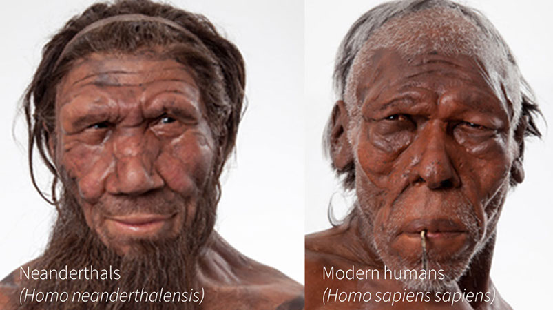 Post neanderthal like traits you may have/ or of other 